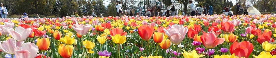 平塚しってもらい隊